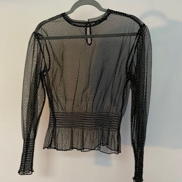 Zara Sheer Blouse - Picture 1 of 4